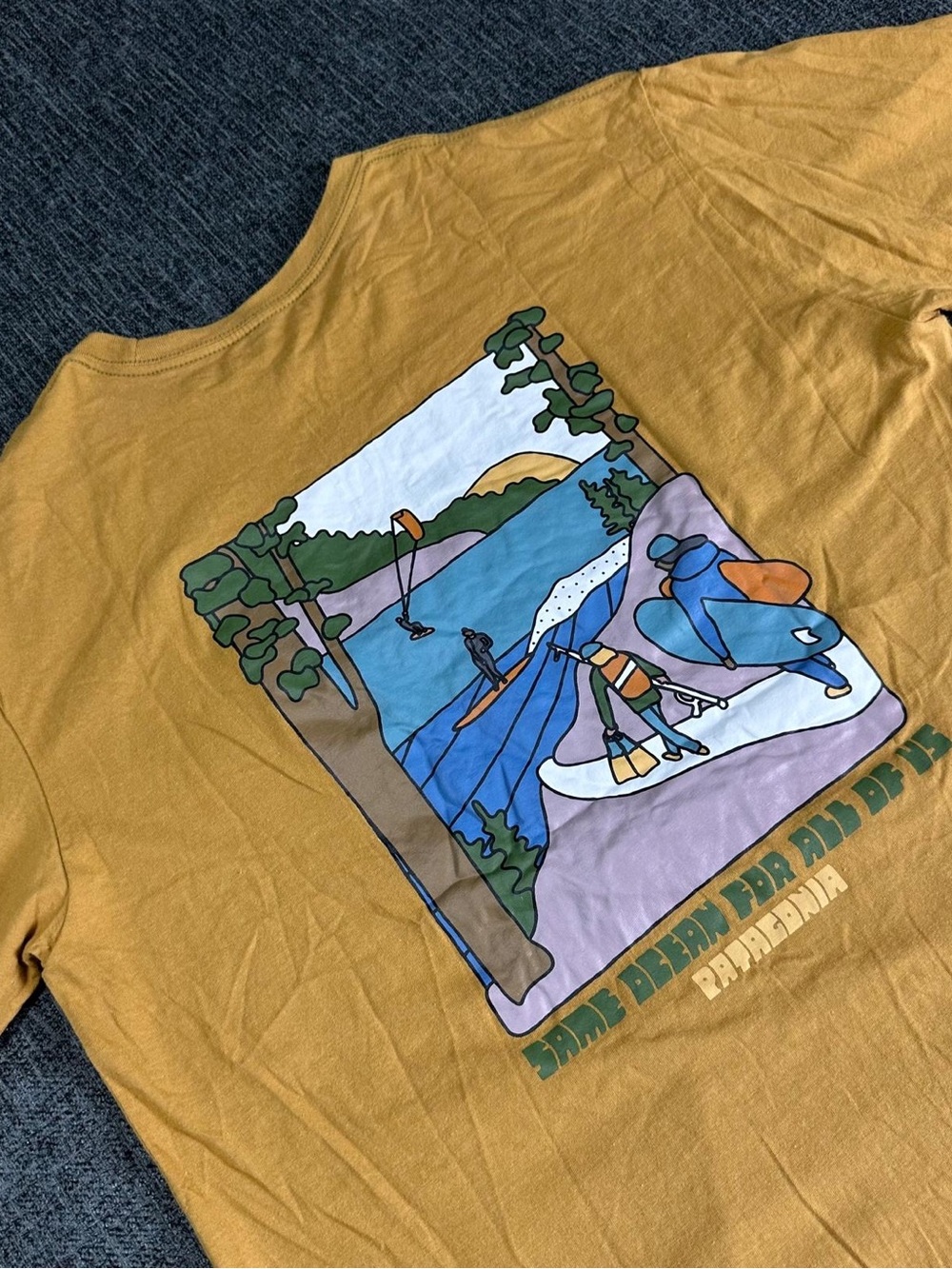 Patagonia Northwest Waters Organic T-Shirt Men's Size Small Organic Cotton EUC